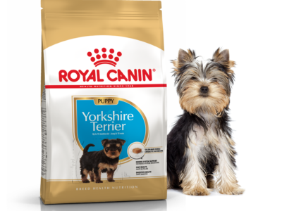 Роял канин Йоркшир Терьер Паппи (Royal Canin) Yorkshire Terrier Puppy