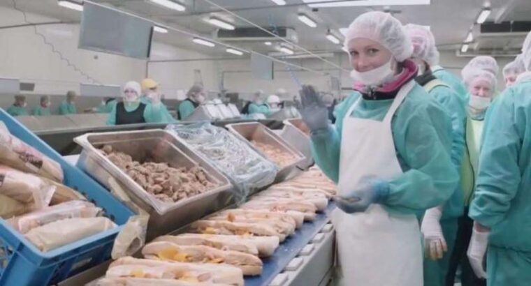 Робота в Словаччині на хлібокомбінаті, зарплата 1200 Євро на місяць