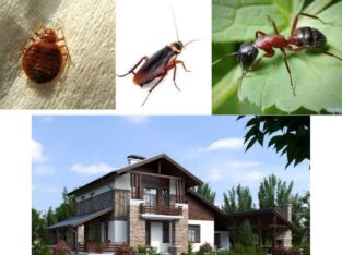 Обработка открытых территорий от клещей, комаров, муравьев и т.д.